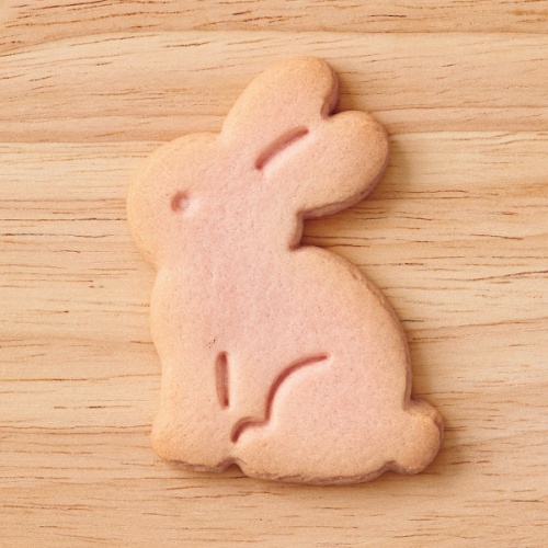 焼菓子 ギフト 焼菓子 ギフト 焼菓子 ギフト製品 チョコレートの株式会社たにぐち